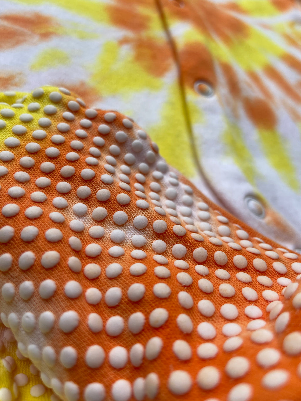 Orange and Yellow