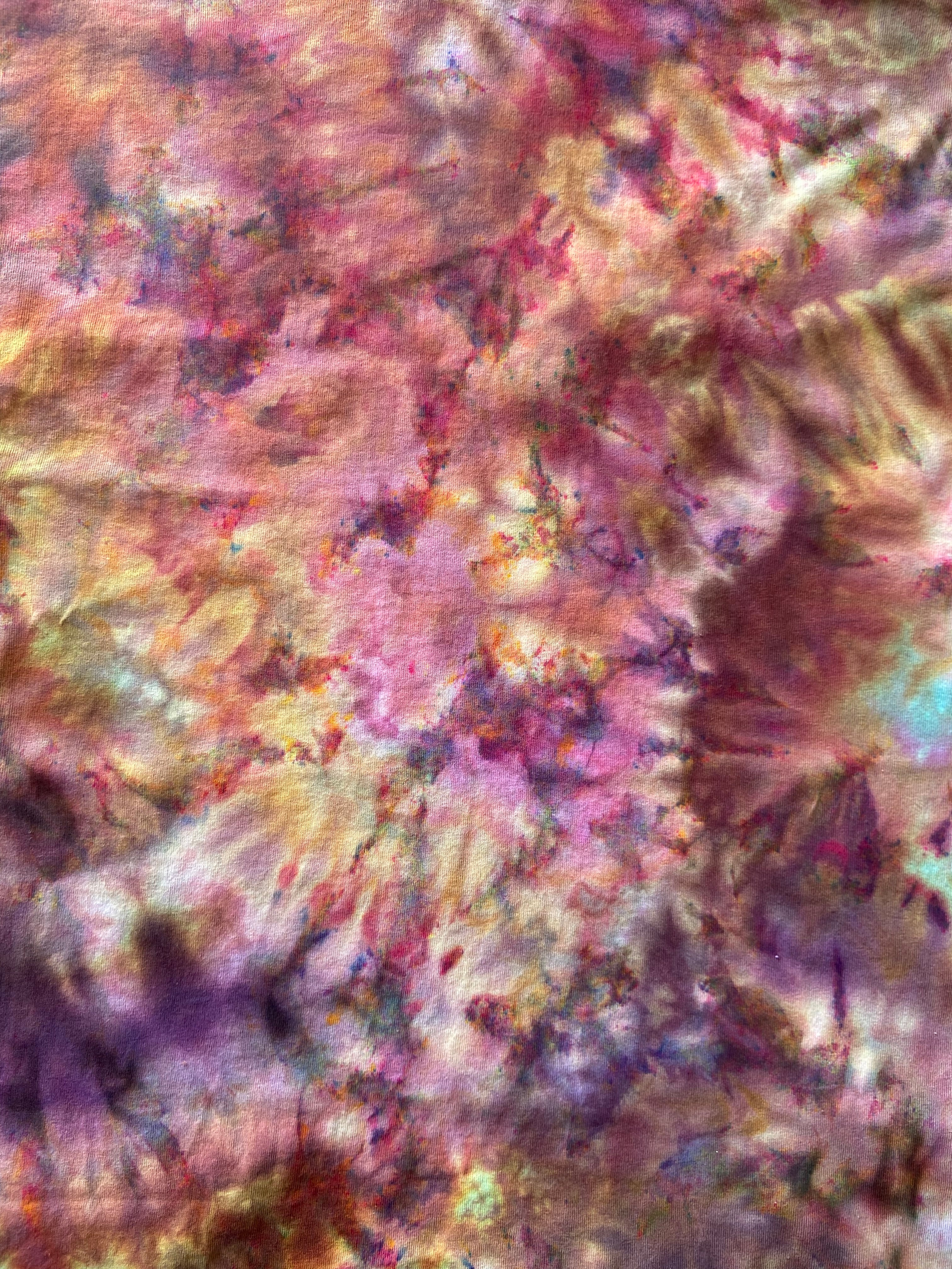 Close-up of colorful coral with a blurred background
